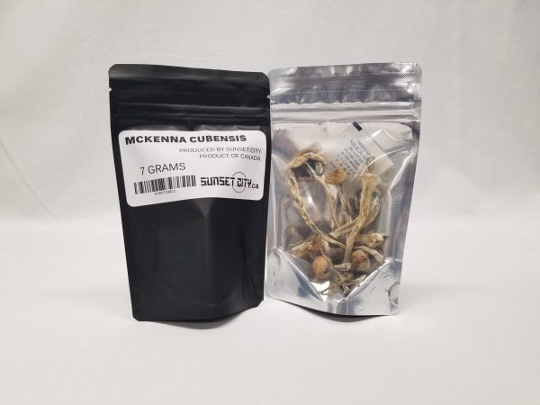 mckenna-cubensis-magic-mushroom