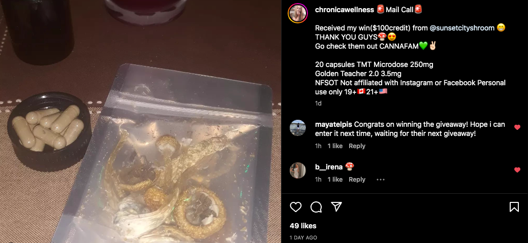 Golden Teacher Mushroom - 1 Gram Free Facebook Offer (Ended) - Image 3